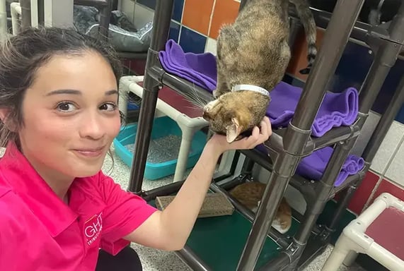 07-03-24_Lights_Houston-Humane-Society