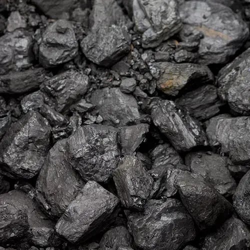 Sample of coal