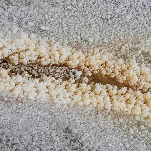 Sample of potash crystals